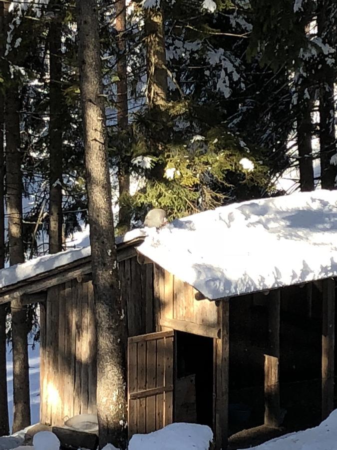 Th Borca Di Cadore - Park Hotel Des Dolomites Екстер'єр фото