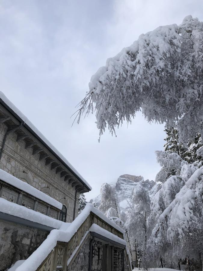 Th Borca Di Cadore - Park Hotel Des Dolomites Екстер'єр фото